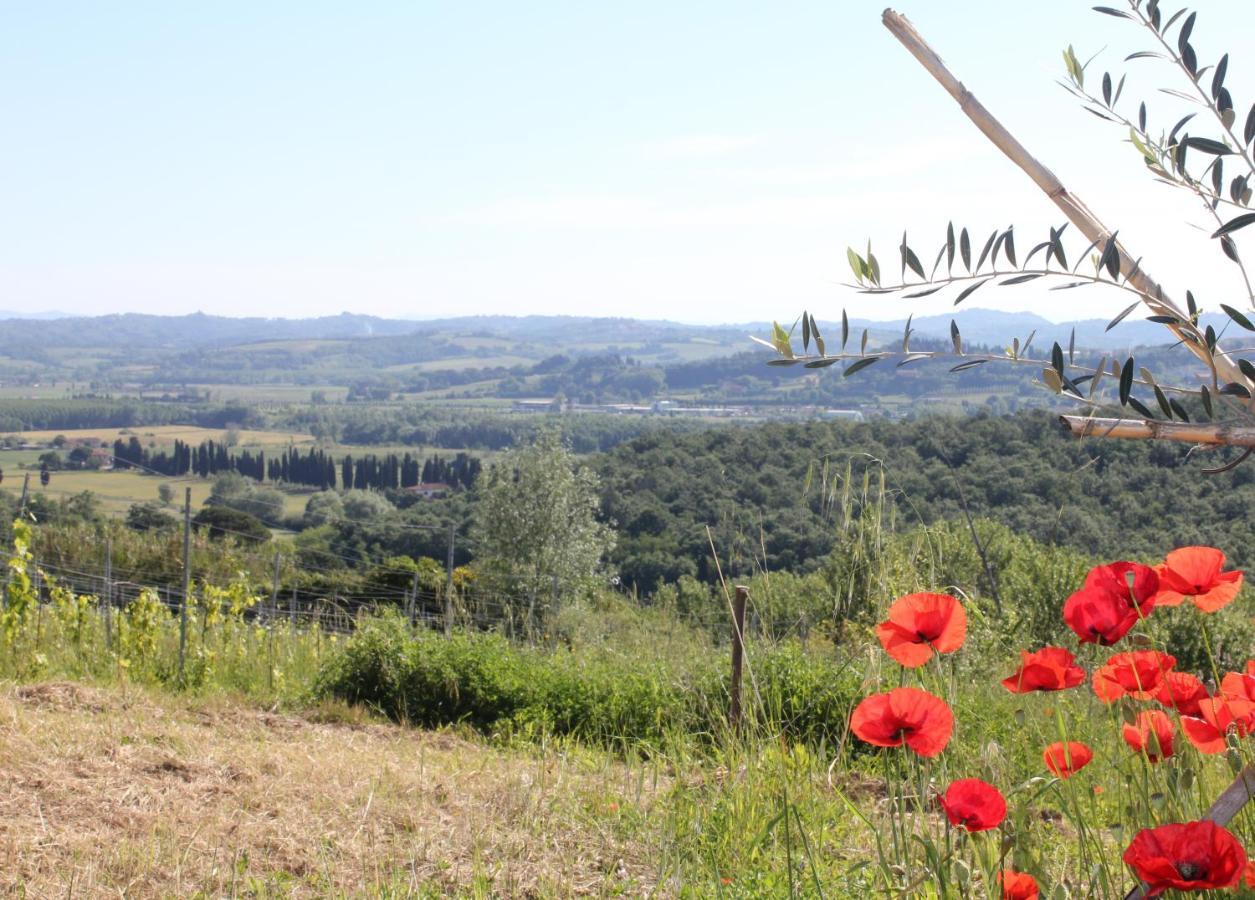 Tuscany Life Terricciola Екстериор снимка